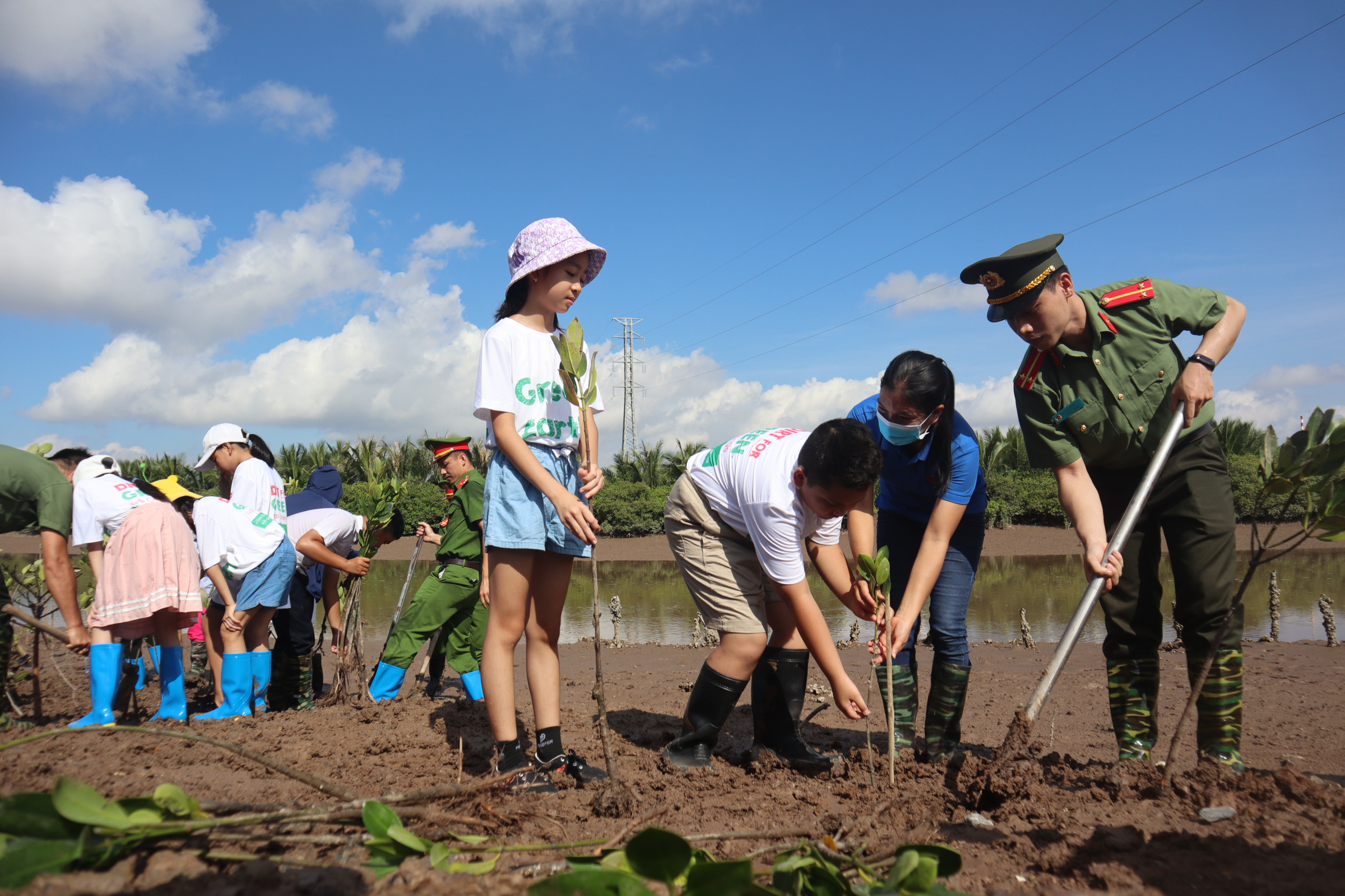 Phòng Tham mưu: Phối hợp trồng 1.000 cây ở rừng ngập mặn xã Phù Long (Cát Bà)